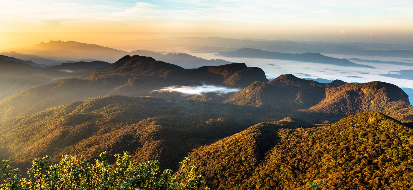 Adams Peak Utsikt