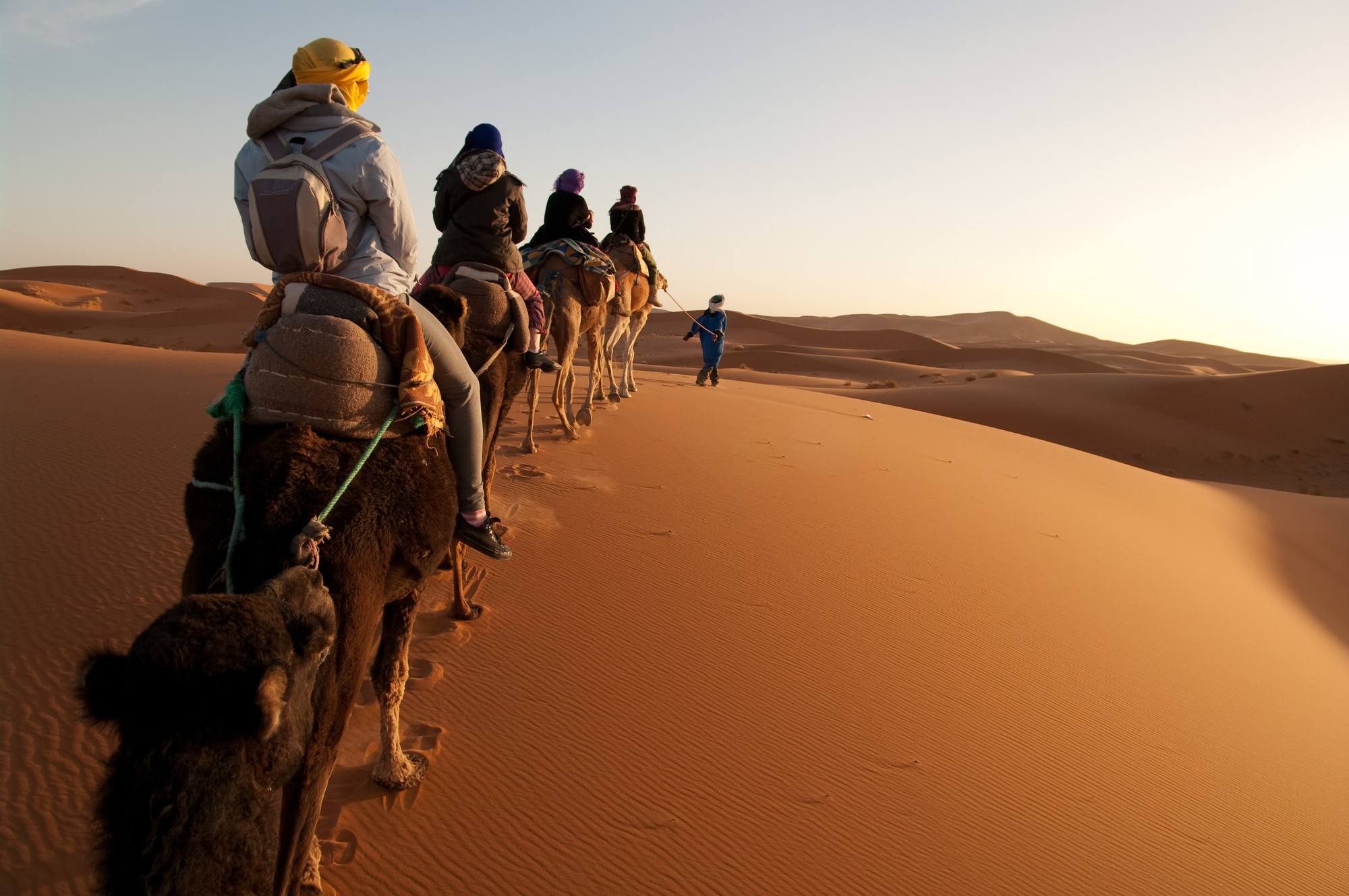 Marocko Öken kameler