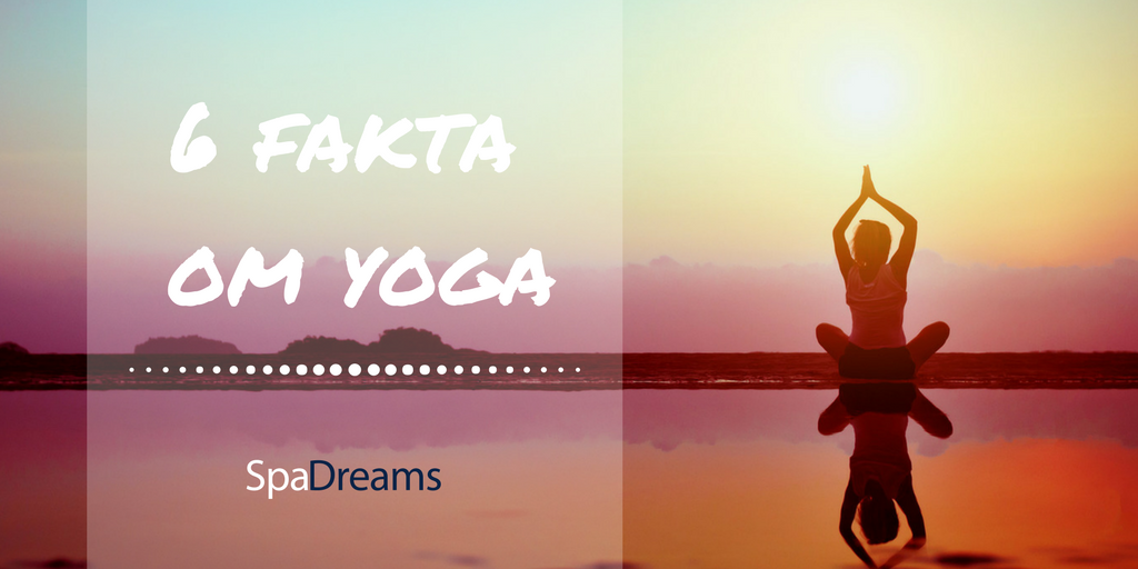 Yoga fakta