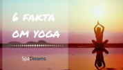 Fakta om Yoga