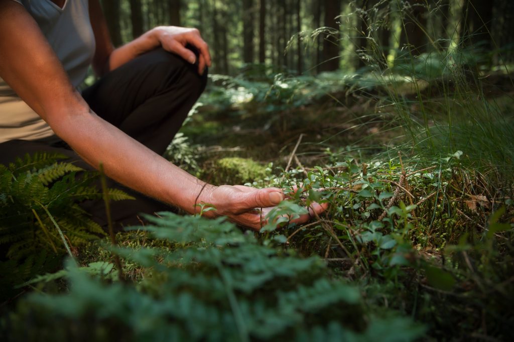 Kvinna skogsbadar med alla sinnen och smakar på örter i skogen. Solen skiner genom löven.