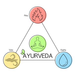 Ayurvedas tre doshas - Ayurveda för att stärka njurarna
